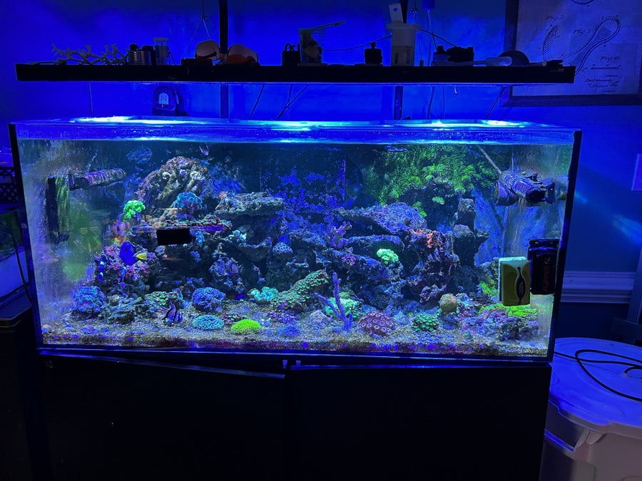 *** SOLD *** MOVING Sale - PRICE REDUCED - Waterbox 135.4 FULL System w/Kessil + T5 Hybrid Lighting an Apex Classic